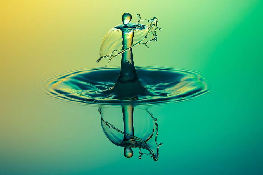 transparency transparency sbh hotels resorts