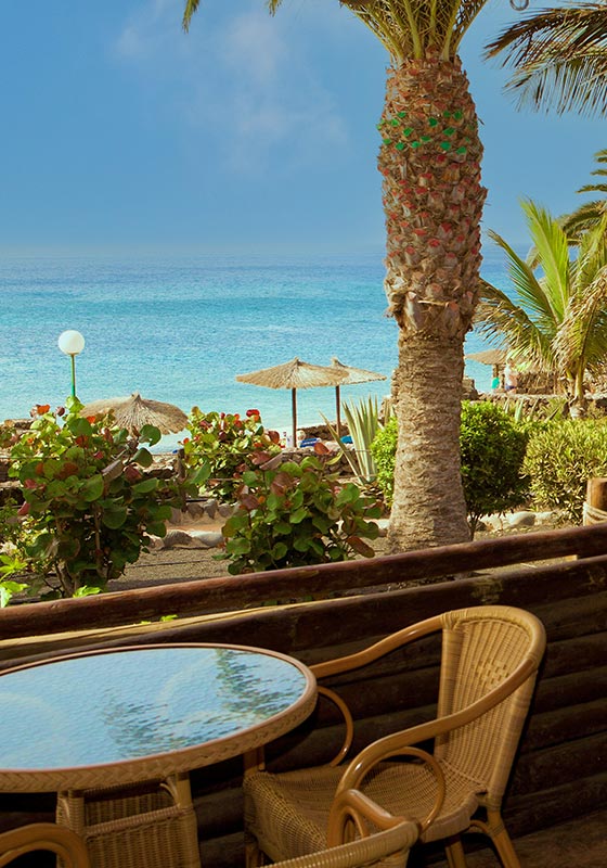 bars and restaurants SBH Royal Monica bars and restaurants